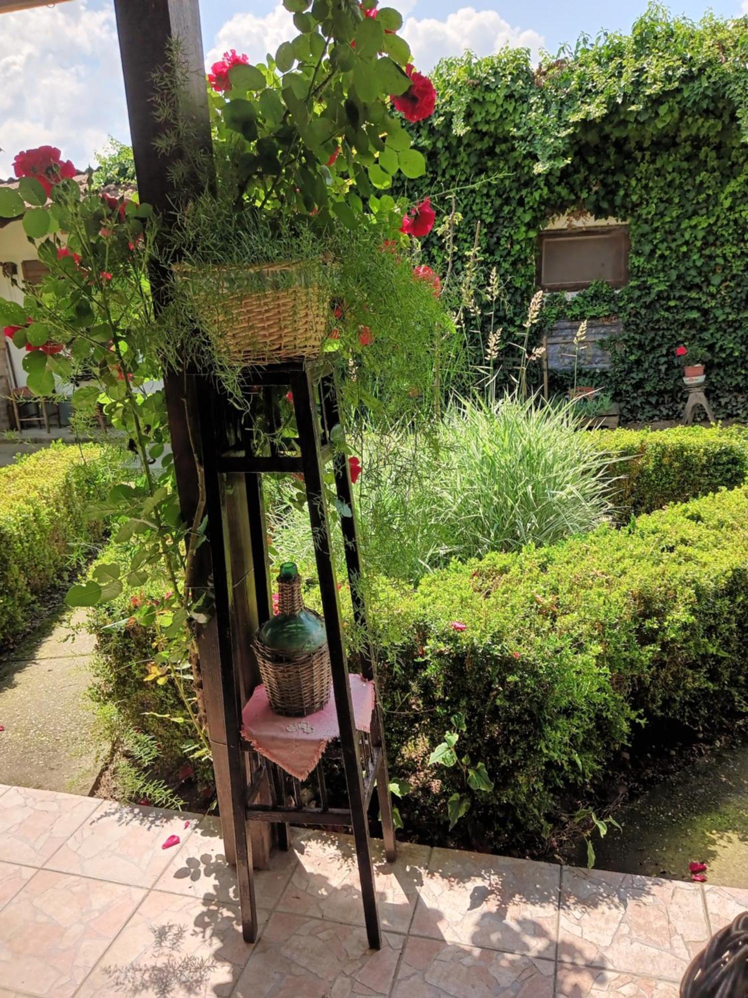Apartments Bakine Carolije Karanac 外观 照片